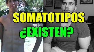 SOMATOTIPOS MESOMORFOS ENDOMORFOS Y ECTOMORFOS ¿EXISTEN [upl. by Frere646]