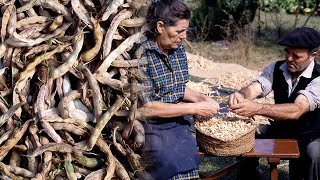 Cultivo y siembra tradicional de legumbres los boliches  Oficios Perdidos  Documental [upl. by Meirrak]