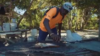 Envol vers la Jamaïque  Les incontournables près de Negril [upl. by Imotih335]