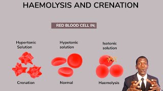 FORM 1 LESSON 75 Haemolysis and crenation TOPICCELL PHYSIOLOGY mp4 [upl. by Khudari]