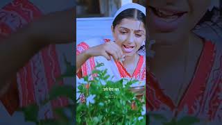 mai bavarya sudh budh khoi hai khoi maine💖90s love song 🎶 full screen 4k hd status 🥀shorts [upl. by Maillliw]