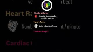 Stroke volume Heart rate Cardiac output analyst keralapsc shorts [upl. by Aeikan]