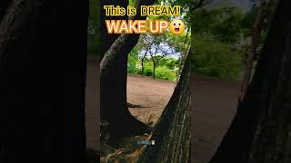 This is a DREAM WAKE UP😮 wakeup dream camera cameratest tricks dreaming dreammode shorts [upl. by Einahpehs]