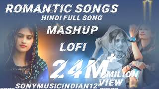 MANE PLAYAL CHAANKAI MASHUP LOFI hindisong trending sonymusicindia [upl. by Pihc]