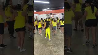 Canequinho de couro dance coreografia danca [upl. by Leroy891]