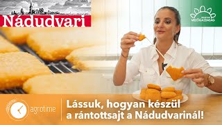 Te tudod hogy készül a Nádudvari rántott sajt  MMG AgroTime [upl. by Jordan487]