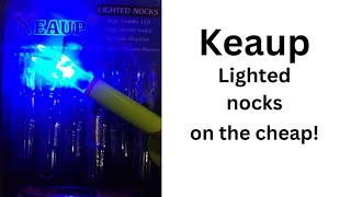 Keaup lighted nocks from Amazon [upl. by Aldas]