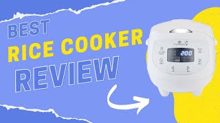 BEST RICE COOKER REVIEW Yum Asia Panda [upl. by Saffier]