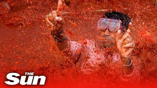 La Tomatina 2023 The worlds messiest food fight holds annual festival in Bunol Spain [upl. by Sunday]