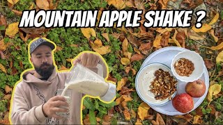 Apple Shake with Dry Fruits  How to make apple juice with Dry Fruits  Apple juice with Dry Fruits [upl. by Buine758]