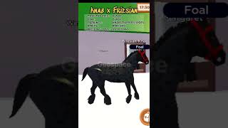 Knabstrupper Hybrids shorts roblox horsevalley horse robloxgames [upl. by Saffian]