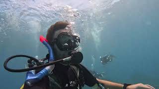 Scuba diving  Koh Lipe Thailand [upl. by Light]