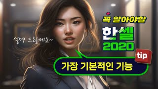 컴퓨터 한셀 프로그램 가장 기본적인 기능 확실히 익히기 [upl. by Nicol128]