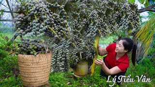 2 Years Alone in the Forest Harvest Arenga Pinnata amp Go to market sell  Daily Life in Forest [upl. by Arvie]