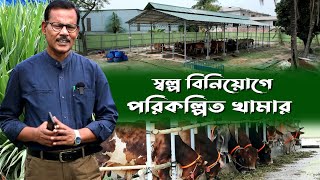 887স্বল্প বিনিয়োগে পরিকল্পিত গরুর খামার রই মানিক চিত্রপুরী। RIManikChitrapuri Krishichitra [upl. by Carleen]