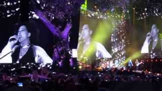 Rolling Stones  Hyde Park  Gimme Shelter [upl. by Freeborn945]