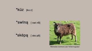 ProtoGermanic Farming Terminology [upl. by Fritzie]