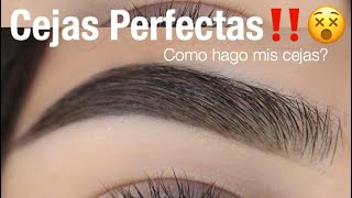 Cejas Perfectas Facil Paso a Paso  Monika Sanchez [upl. by Fara]