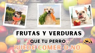 ✨️ FRUTAS y VERDURAS que tu perro puede comer o no 🐶🍎🥕🍇 [upl. by Gonagle]