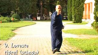 Yang Family Tai Chi Chuan 16 movements form [upl. by Eleanor]