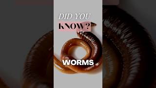 Did YOU KNOW this ABOUT Earthworms animals animalfacts justfacts [upl. by Leinnad]