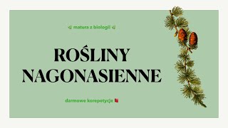 16 Rośliny nagonasienne  budowa charakterystyka cykl rozwojowy 🌲 matura biologia rozszerzona 📕 [upl. by Ianahs]