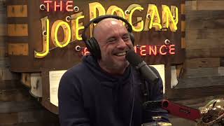 Joe Rogan Experience 1971  Howie Mandel [upl. by Nanahs]