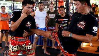 10 Muay Thai Techniques by Legends [upl. by Lraep]