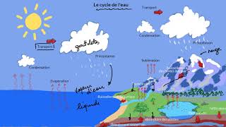 Le cycle de leau [upl. by Dnyletak]