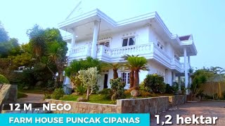 VILLA PUNCAK DIJUAL  FarmHouse Cipanas 12 hektar 12 M nego [upl. by Halsey]