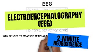 2Minute Neuroscience Electroencephalography EEG [upl. by Grantham754]