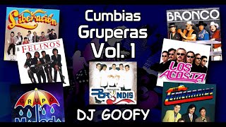 DJ GOOFY  Cumbias Gruperas Video Megamix 1 [upl. by Malim642]