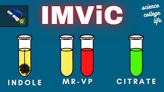 IMViC Test  Indole MRVP Citrate  Microbiology Lab [upl. by Linzy33]