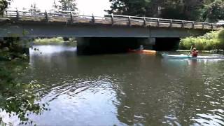 Beaver Creek Oregon Kayaking [upl. by Acsehcnarf]