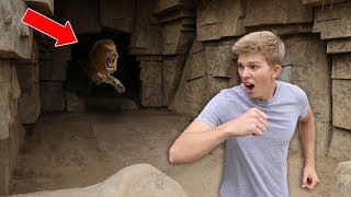 Exploring Secret Abandoned Zoo NOT SAFE [upl. by Barcus291]