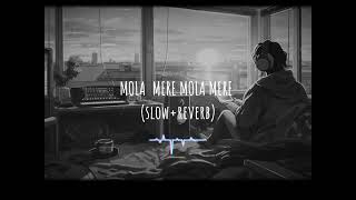 mola mere mola mere slowreverb song lofi molameremola chillwave Chillwave54 [upl. by Tillford]