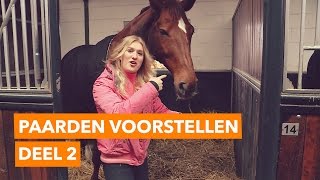 Paarden voorstellen deel 2 l PaardenpraatTV [upl. by Namqul]