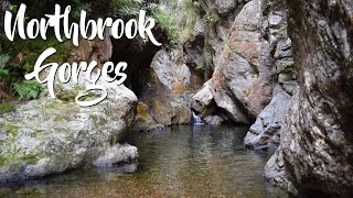 CJ Explores Northbrook Gorges river walk tree swing cliff jumps [upl. by Tterrej283]