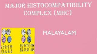 MAJOR HISTOCOMPATIBILITY MOLECULE MHC MALAYALAM [upl. by Hallam]