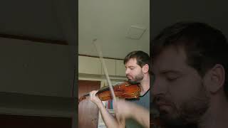 Zigeunerweisen  Gypsy Airs violin violinist violinmusic classicalmusic violino shorts [upl. by Emmery167]