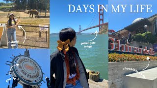 a day in san francisco and oakland 🚘 golden gate bridge pier 39 oakland zoo etc [upl. by Yeldud]