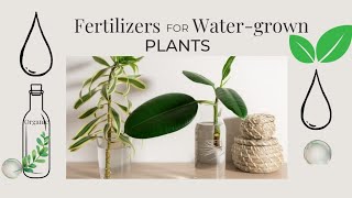 quotBest Fertilizers for Plants Growing in Water The Ultimate Guide for Gardenersquot [upl. by Graff]