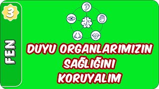 Duyu Organlarımızın Sağlığını Koruyalım  3 Sınıf Fen evokul Kampı [upl. by Schulein77]