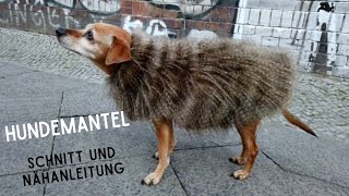 ✂️ Hundemantel Schnittmuster nach Maß selber machen plus Nähanleitung DIY [upl. by Fita]