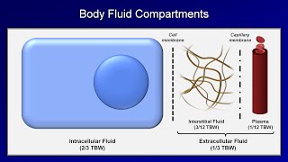 IV Fluids Lesson 1  Basic Principles [upl. by Lekzehcey]