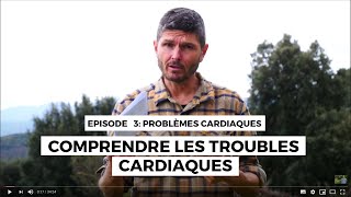 Problèmes cardiaques n°3  Comprendre les troubles cardiaques [upl. by Israeli461]