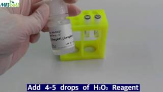 Catalase  Oxy Test [upl. by Settle822]