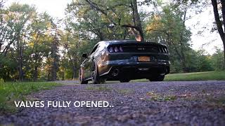 2015 Mustang GT Texas Speed catted long tube headers [upl. by Ahsaya992]