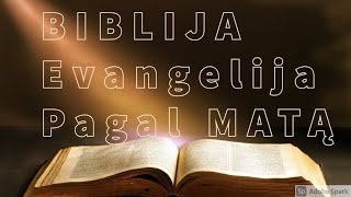 EVANGELIJA PAGAL MATĄ BIBLIJA [upl. by Burgener135]