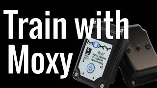 Why You Should Train with Moxy [upl. by Morganstein252]